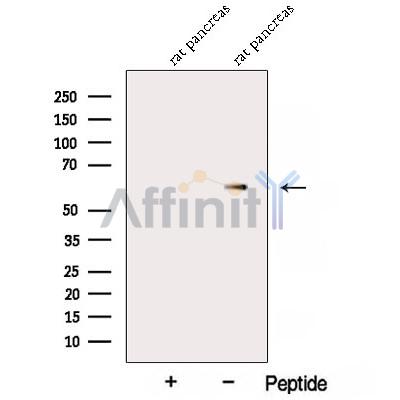 Валидация Affinity DF12823 - 7534