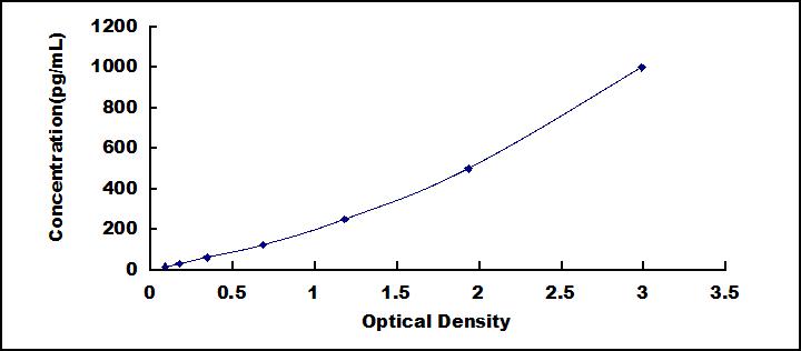 35702