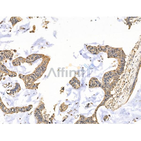 Валидация Affinity DF13388 - 8650