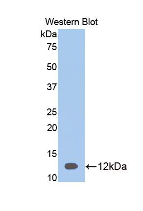 39700
