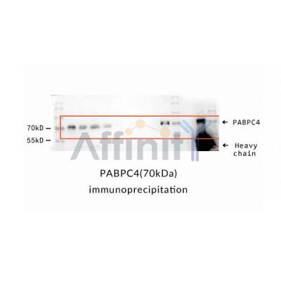 Валидация Affinity DF9762 - 22592