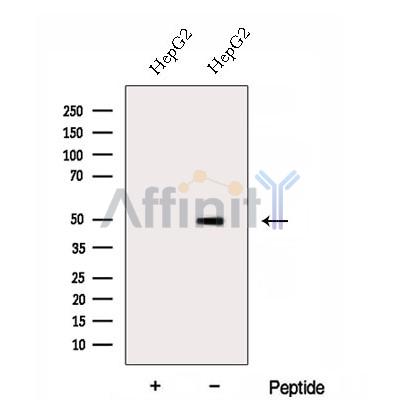 Валидация Affinity DF12955 - 7720