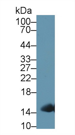 13380