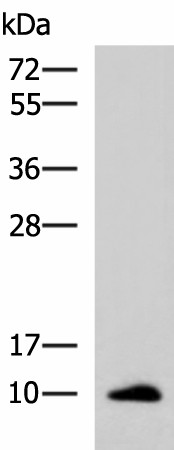 Валидация Elabscience E-AB-18216