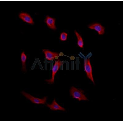 Валидация Affinity DF12031 - 6060