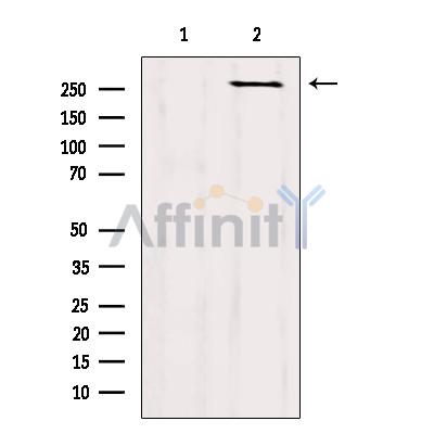 Валидация Affinity AF6308 - 3578