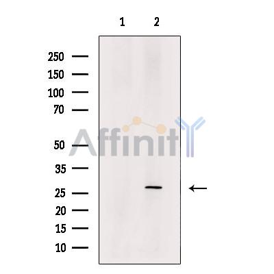 Валидация Affinity DF12359 - 6801