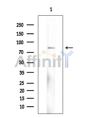 Валидация Affinity DF13970 - 9725