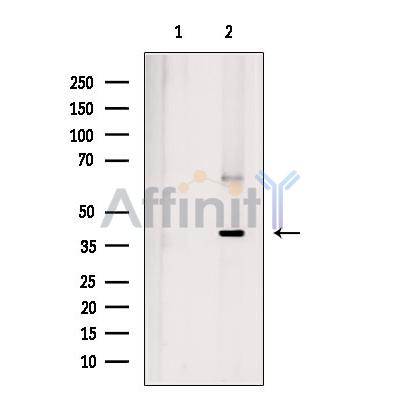 Валидация Affinity DF7287 - 18960