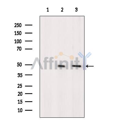 Валидация Affinity DF10284 - 5893