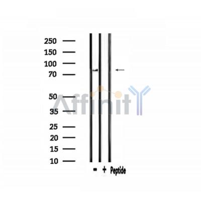 Валидация Affinity DF3904 - 15075