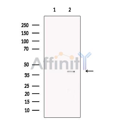 Валидация Affinity DF13430 - 8743