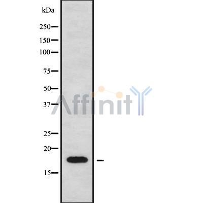 Валидация Affinity DF9374 - 21903