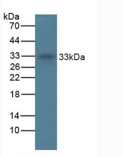 5882