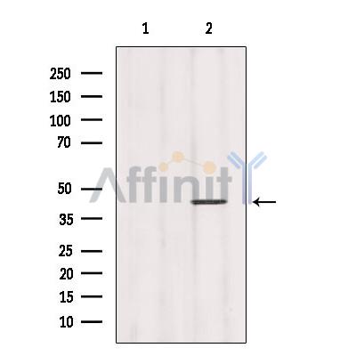 Валидация Affinity DF2794 - 13535