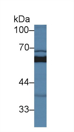 10374