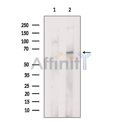 Валидация Affinity DF7716 - 19503