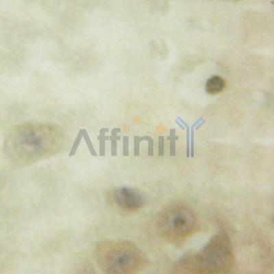Валидация Affinity AF6434 - 3744