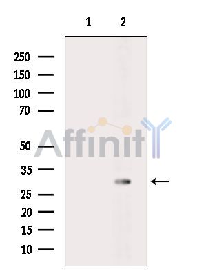 Валидация Affinity DF13985 - 9741