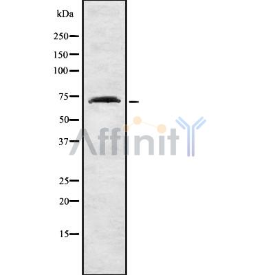 Валидация Affinity DF8902 - 21019