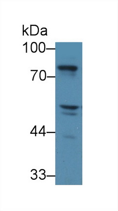 12488