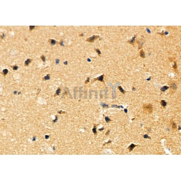 Валидация Affinity DF4850 - 16617