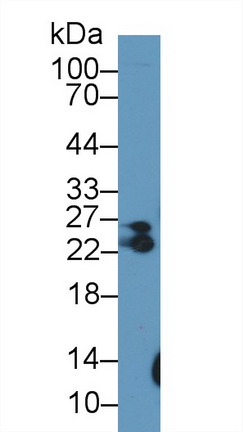 8938