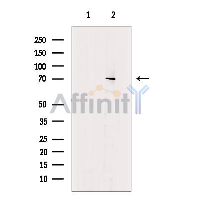 Валидация Affinity DF12154 - 6345