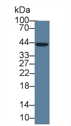 10484