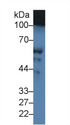 14330