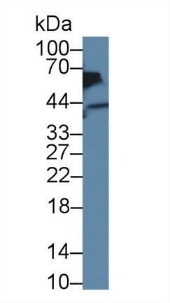 12792