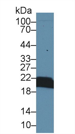 8383