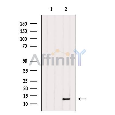 Валидация Affinity DF9779 - 22620