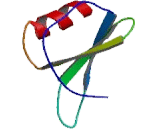 Macrophage Inflammatory Protein Related Protein 1 (MRP1)