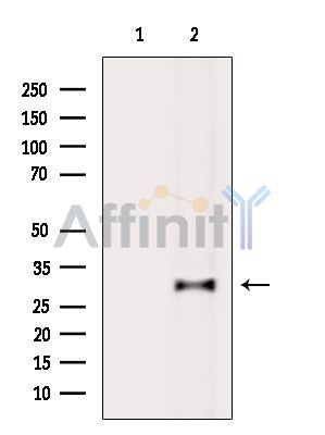 Валидация Affinity DF14117 - 9908