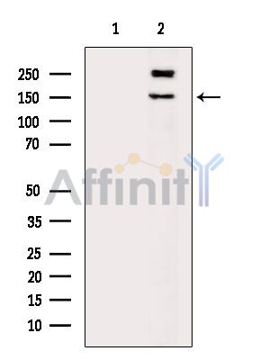 Валидация Affinity DF15281 - 11573