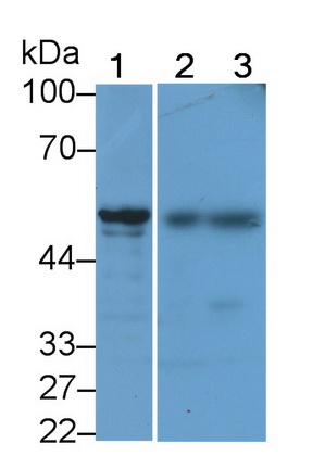 21791