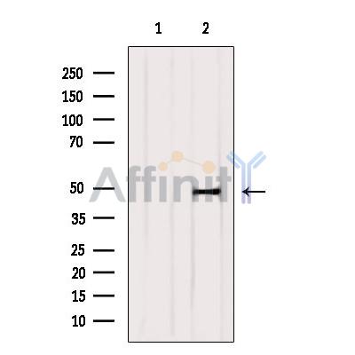 Валидация Affinity DF6736 - 18275