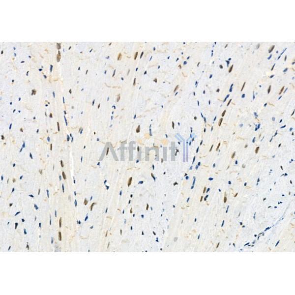 Валидация Affinity AF9002 - 4716