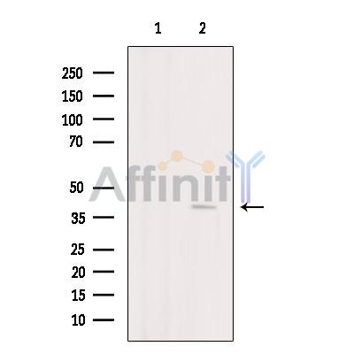 Валидация Affinity DF4108 - 15397