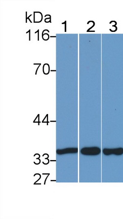 23059