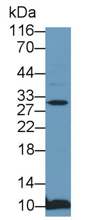 59829