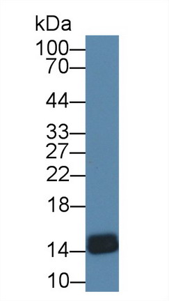 8599