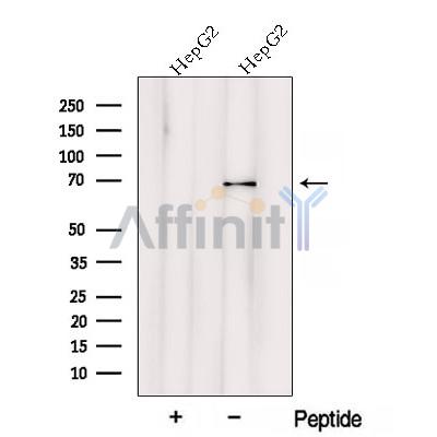 Валидация Affinity DF12792 - 7484