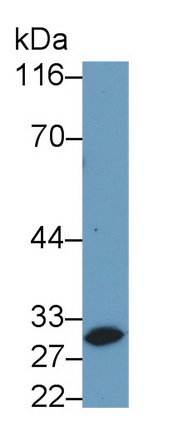 39378