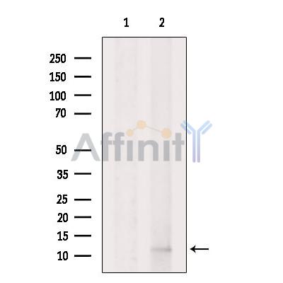 Валидация Affinity DF2442 - 13059