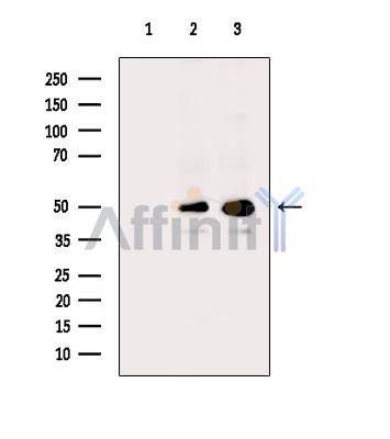 Валидация Affinity DF14568 - 10567