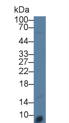 12370