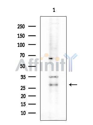 Валидация Affinity DF7384 - 19110