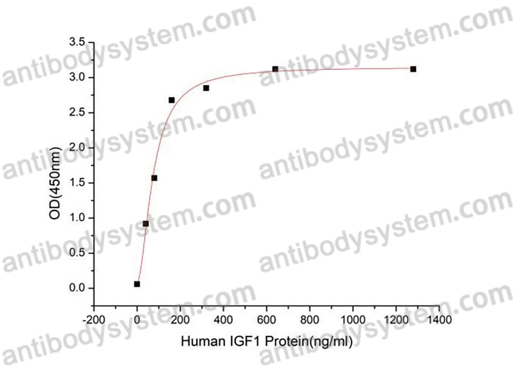Валидация активности AntibodySystem AHC36501